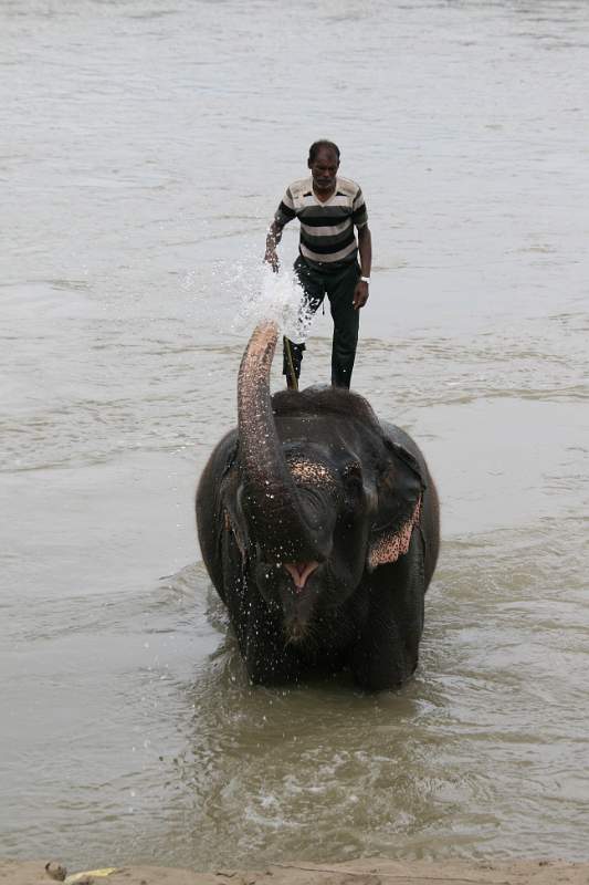 India & Nepal 2011 - 0569